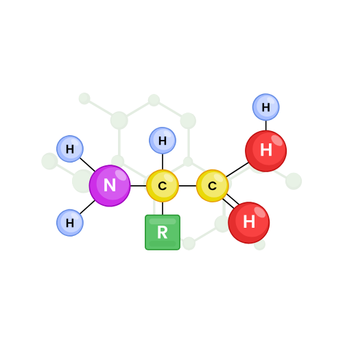 Category Image
