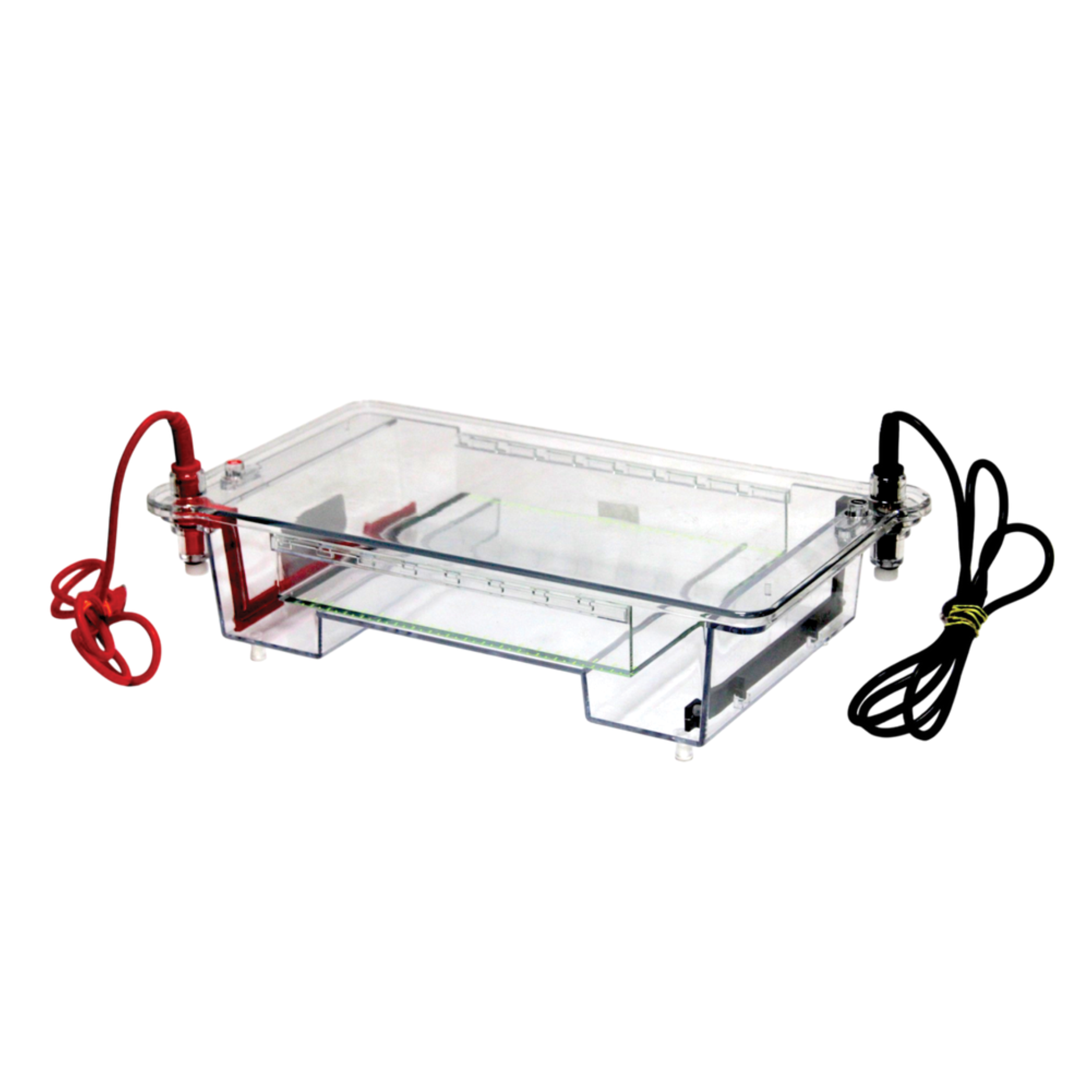 GEL ELECTROPHORESIS SYSTEM