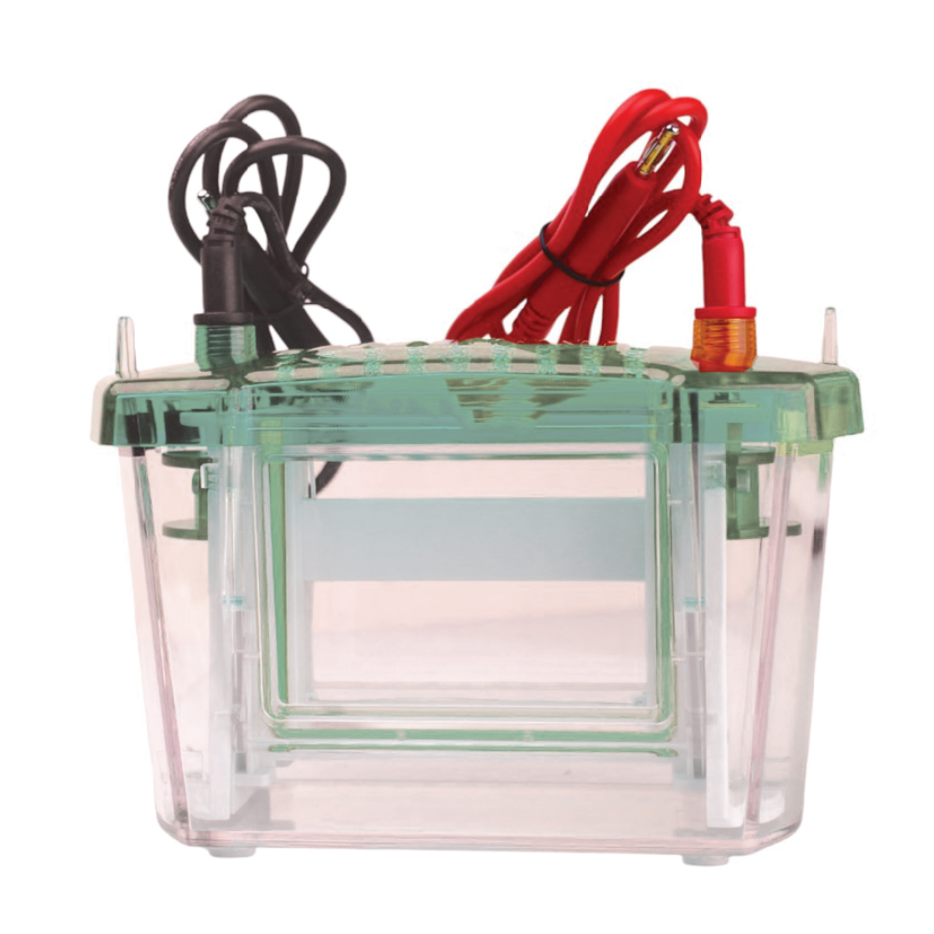 VERTICAL GEL ELECTROPHORESIS